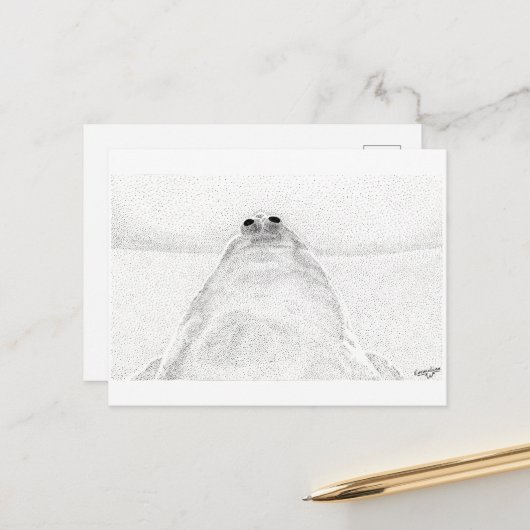 スティプルされたチキンポストカード ポストカード (正面/裏面インサイチュ)