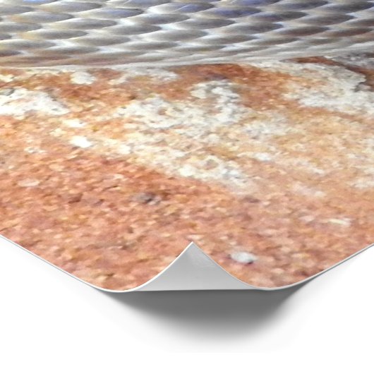 スティムソンのPython ポスター (角)