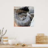 スティムソンのPython ポスター (キッチン)