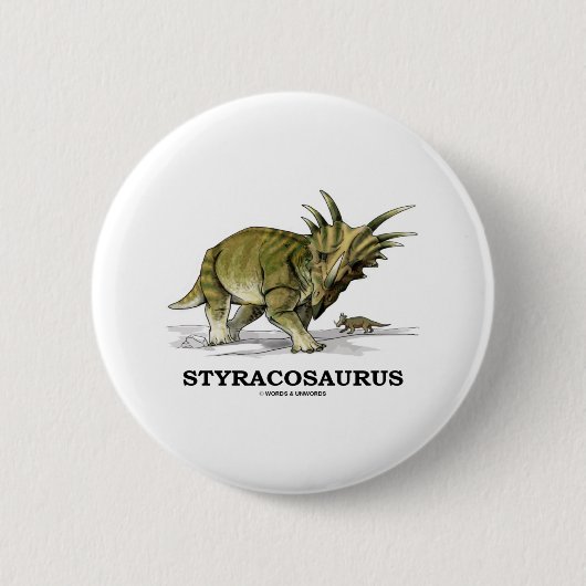 スティラコサウルス 缶バッジ (正面)