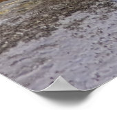 スティラーシーライオンズ – ファインアートプリント ポスター (角)