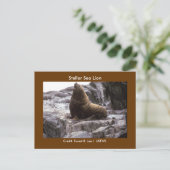 スティラーシーライオン ポストカード (スタンド正面)