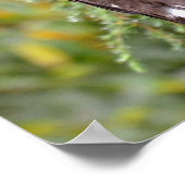 スティラーズシーイーグル ポスター (角)