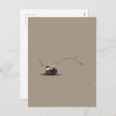 スティルマリンベージュブラウンくつろぎシーセル シーズンポストカード (正面/裏面)