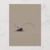 スティルマリンベージュブラウンくつろぎシーセル シーズンポストカード (正面)