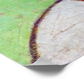 スティルライフレッドポピーとデイジーバイファンゴッホ ポスター (角)