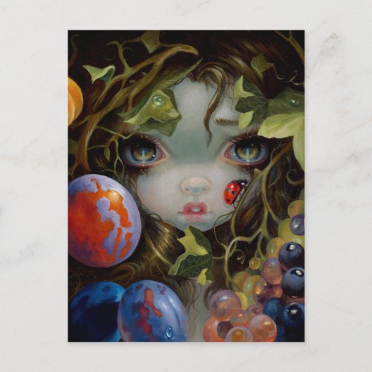 「スティルヴェンVIII: Lieveheersbeestje」ポストカード ポストカード (正面)