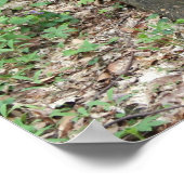 スティル1 ポスター (角)