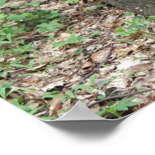 スティル1 ポスター (角)