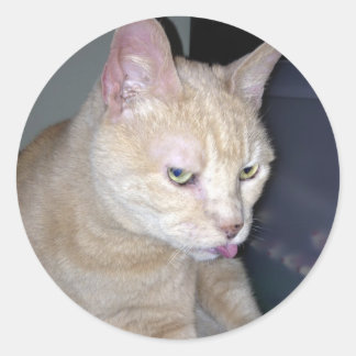 スティンキーラズベリステッカー ラウンドシール