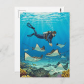 スティングレイでダイビング ポストカード (正面/裏面)