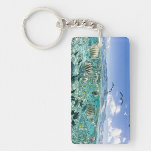 スティングレイを使ったラグーンサファリ旅行 キーホルダー (正面)