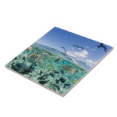 スティングレイを使ったラグーンサファリ旅行 タイル (側面)