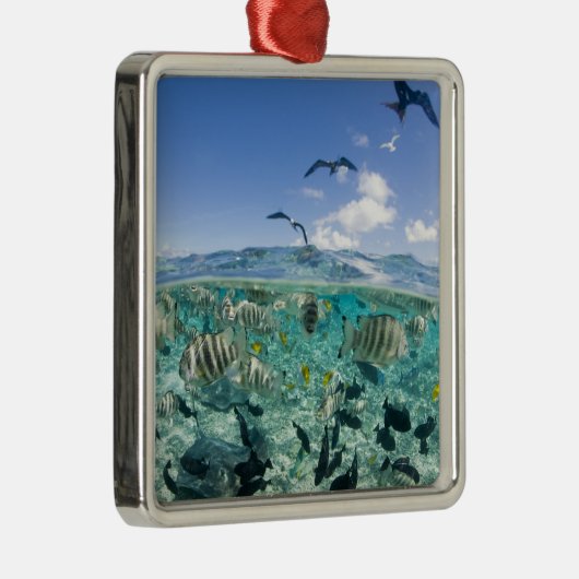 スティングレイを使ったラグーンサファリ旅行 メタルオーナメント (右)