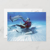 スティングレイシティー、グランドケイマン、ケイマン諸島 ポストカード (正面/裏面)