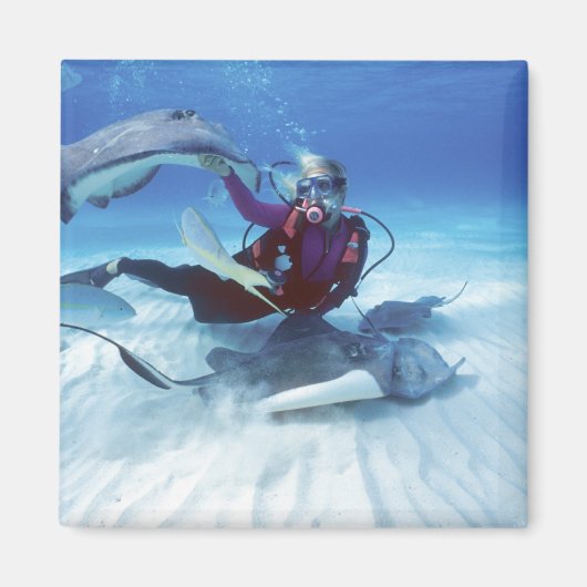 スティングレイシティー、グランドケイマン、ケイマン諸島 マグネット (正面)