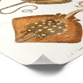 スティングレイズスケテヴィンテージシークリーズアートプリント ポスター (角)