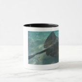 スティングレイマグ マグカップ (中央)