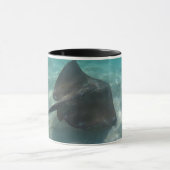 スティングレイマグ マグカップ (中央)