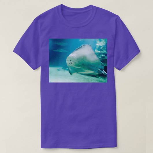 スティングレイ1 Tシャツ (デザイン正面)