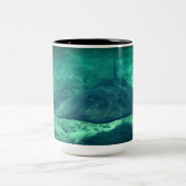 スティングレイ ツートーンマグカップ (中央)