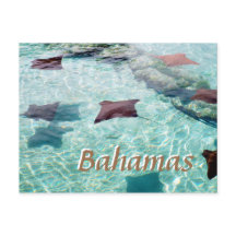 スティングレイ