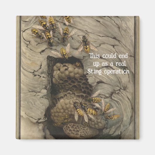 「スティング操作」マグネット マグネット (正面)