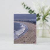 スティンソンビーチニアポイントレイズナショナルシーショア ポストカード (スタンド正面)