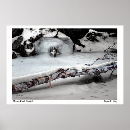 スティンソン・ブルック・バーチフォールポスター ポスター (正面)