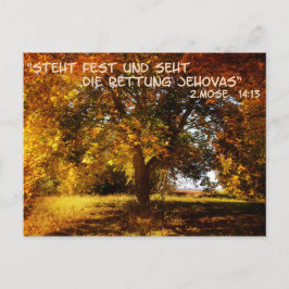 スティートフェストとセートダイレトゥン ポストカード