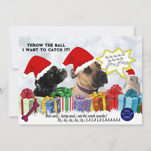 スティーブとジェシカのクリスマスカード カード (裏面)