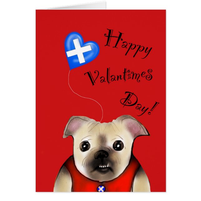 スティーブのvalantimesのcerd (正面)