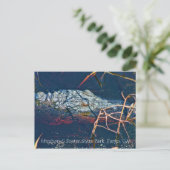 スティーブンCフォスター州パーク，ゲーター ポストカード (スタンド正面)