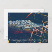 スティーブンCフォスター州パーク，ゲーター ポストカード (正面/裏面)