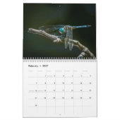 スティーブBorichevsky著2016年のトンボのカレンダー カレンダー (2月 2027)