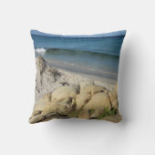 スティームパンクゴールデン赤面&パウダーブルー結婚ズギフト クッション (裏面)