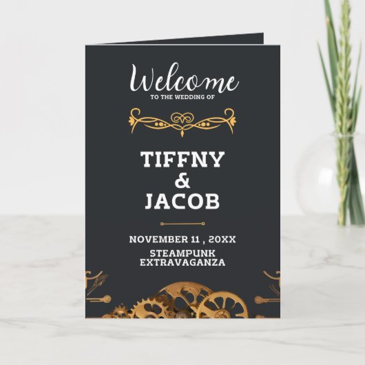 スティームパンクストラビガンザヴィンテージコグスフラットプログラム プログラム (正面)