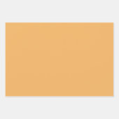 スティームパンクタイガー金属製ホイールデコパージュR 136 ラッピングペーパーシート (正面2)