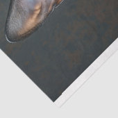 スティームパンクブラックスフィンクス猫デコップページ 薄葉紙 (詳細)