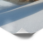 スティームパンク極熊の戦士 ポスター (コーナー)