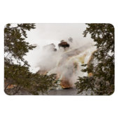 スティームビソンアットイエローストーン国立公園 マグネット (横)