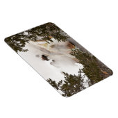 スティームビソンアットイエローストーン国立公園 マグネット (右側)