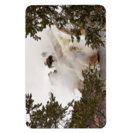 スティームビソンアットイエローストーン国立公園 マグネット