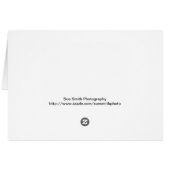 スティームビソンイエローストーン国立公園カード (裏面横)