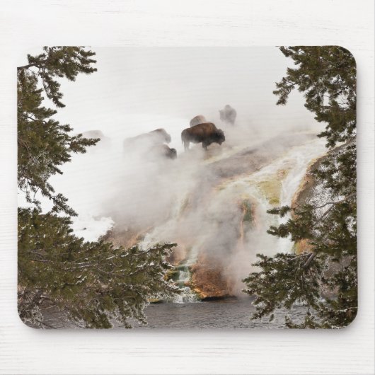 スティームビソンマウスパッド マウスパッド (正面)