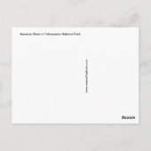 スティームビソン葉書 ポストカード (裏面)