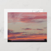 ステイシーズテキサス州サンセット ポストカード (正面/裏面)