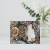 ステイセーフポストカードバイジュリーアンストリックリン ポストカード (スタンド正面)