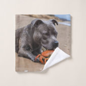 ステイフィーはビーチカニと友達だ バスタオルセット (ウォッシュタオル)