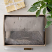 ステイフィーはビーチカニと友達だ 薄葉紙 (ギフト)